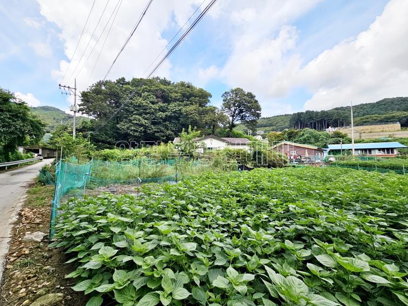 양평군 옥천면 신복리 월세1천/70만원_12