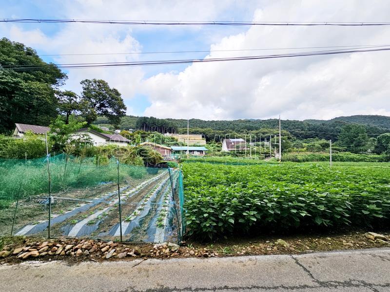 양평군 옥천면 신복리 월세1천/70만원_13