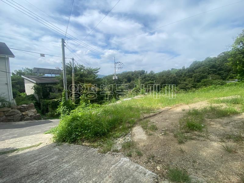 양평군 양서면 대심리 강조망주_14