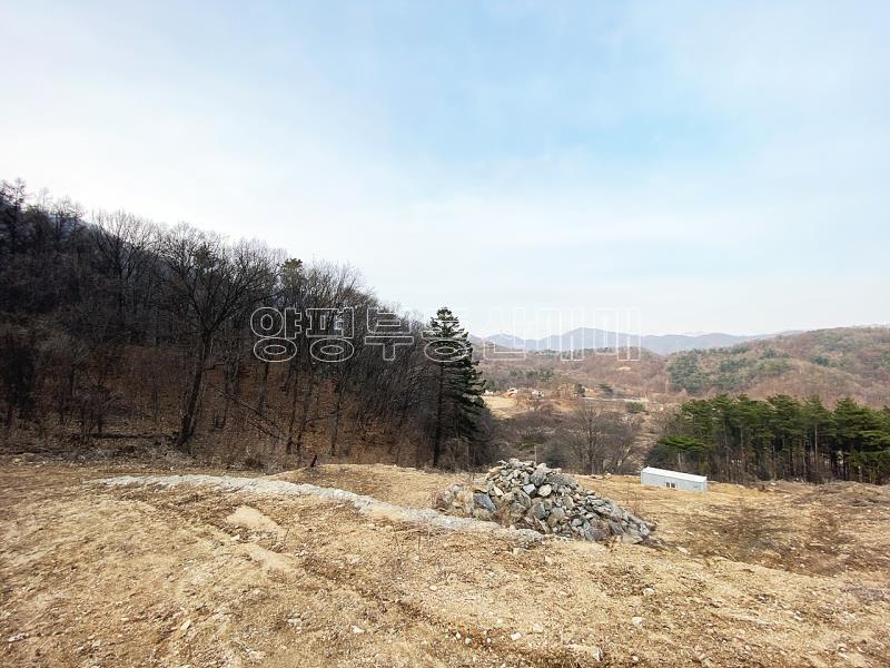 양평군 양서면 청계리 사업부지_5