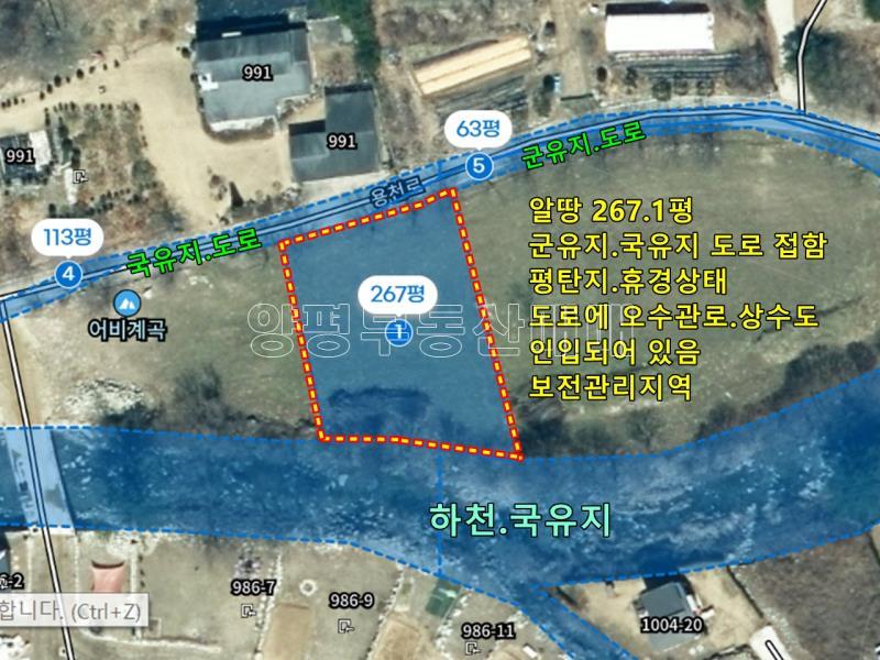 양평군 옥천면 용천리  국유지,군유지 하천 접한토지_17