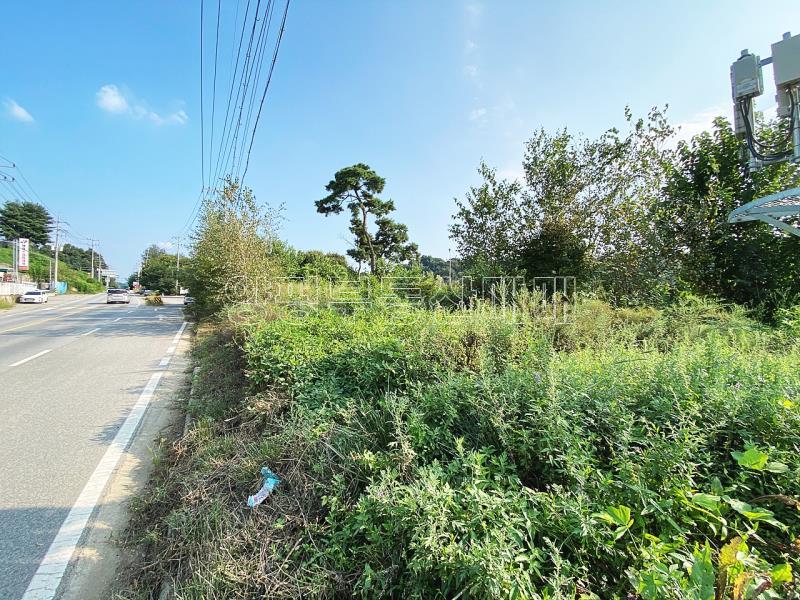 양평군 옥천면 옥천리 4차선변 토지_4