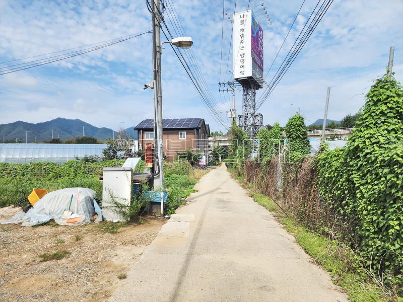 양평군 양섬녀 양수리 두물머리에 위한 주말농장 추천._24