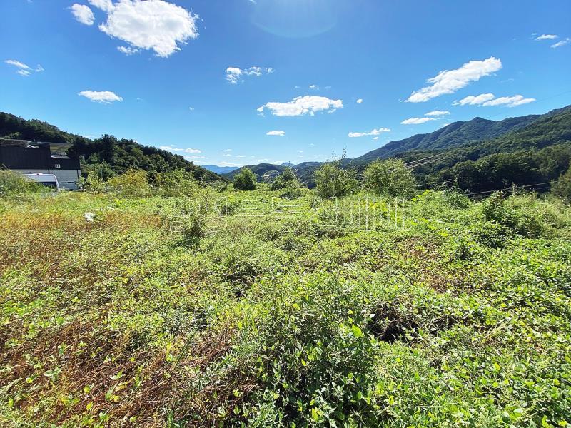 양평군 양서면 증동리 청계산을 바라보는 한적한동네_13