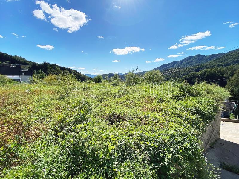 양평군 양서면 증동리 청계산을 바라보는 한적한동네_16