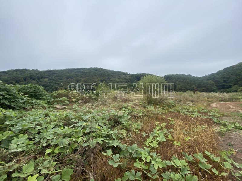 양평군 옥천면 아신리 전망좋고 도시가스 &상수도 들어오는토지_12