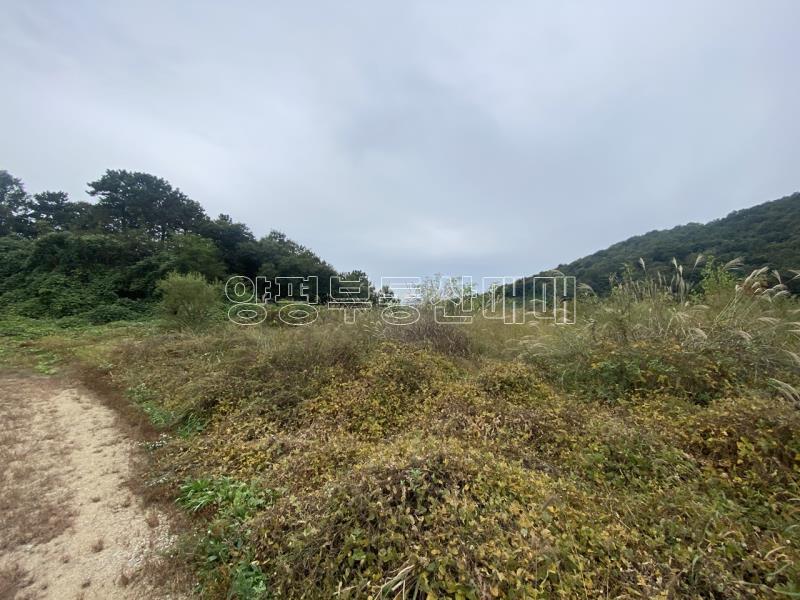 양평군 옥천면 아신리 전망좋고 도시가스 &상수도 들어오는토지_13