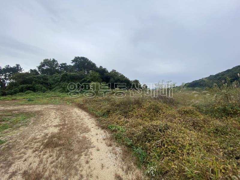 양평군 옥천면 아신리 전망좋고 도시가스 &상수도 들어오는토지_14