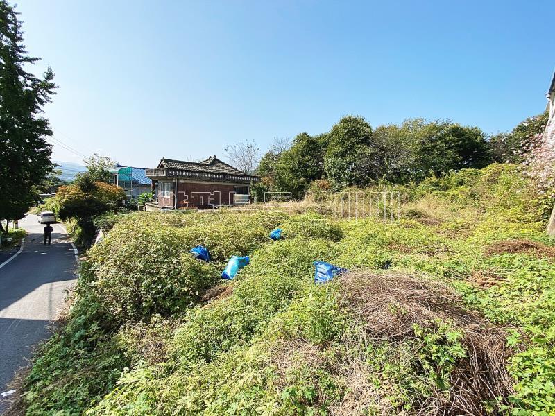 양평군 옥펀면 아신리 아신역 앞토지_15