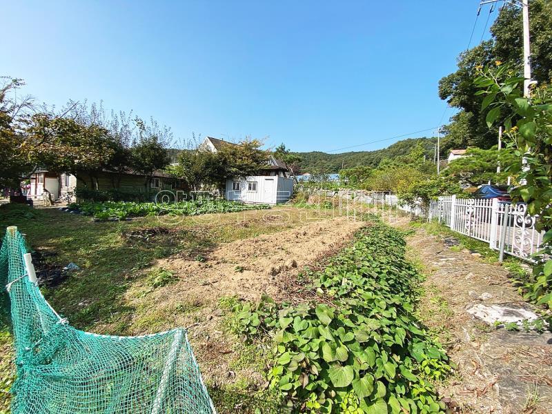 양평군 옥천면 아신리 남향의 평지의 양지바른 토지_14