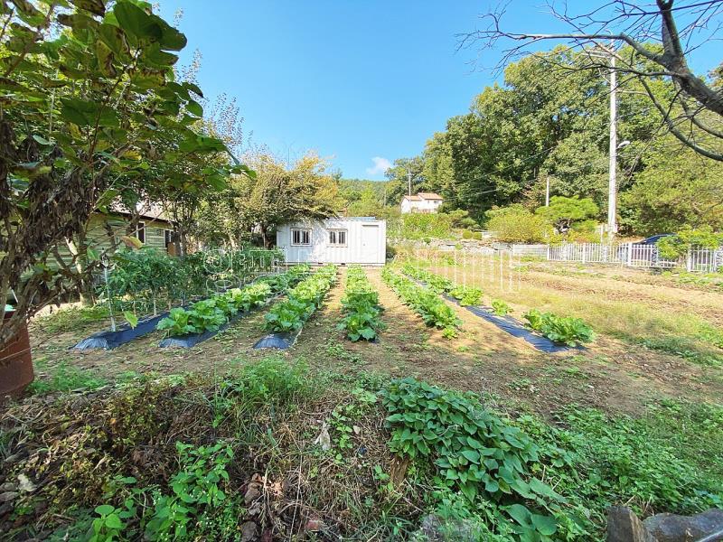 양평군 옥천면 아신리 남향의 평지의 양지바른 토지_17