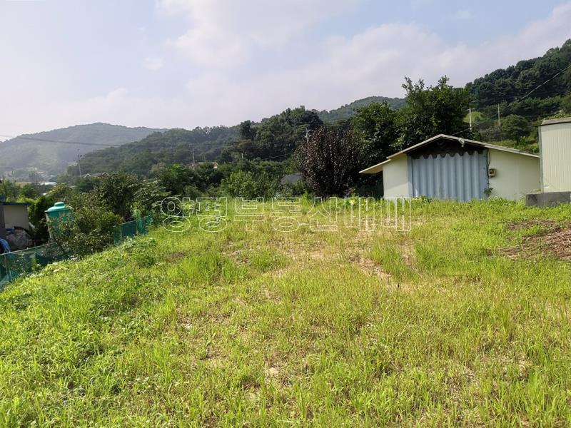 양평군 옥천면 아신리_10