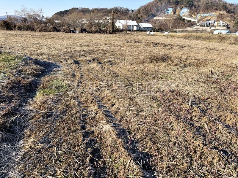 양평군 옥천면 옥천리 농림_12