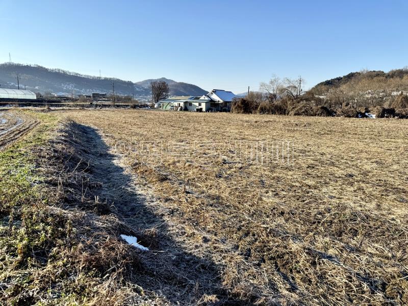 양평군 옥천면 옥천리 농림_13