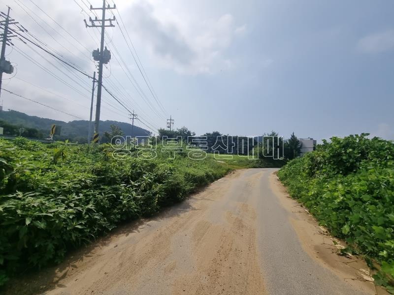 양평군 옥천면 신복리37번국도변 토지_3