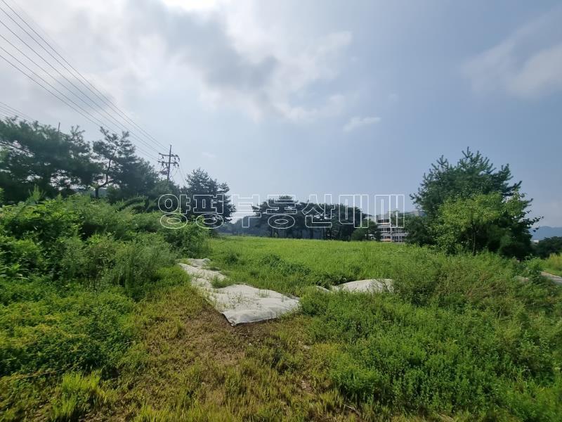 양평군 옥천면 신복리37번국도변 토지_18