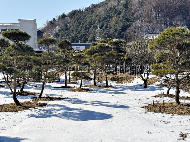 양평군 옥천면 신복리 구거 국유지활용 토지_3