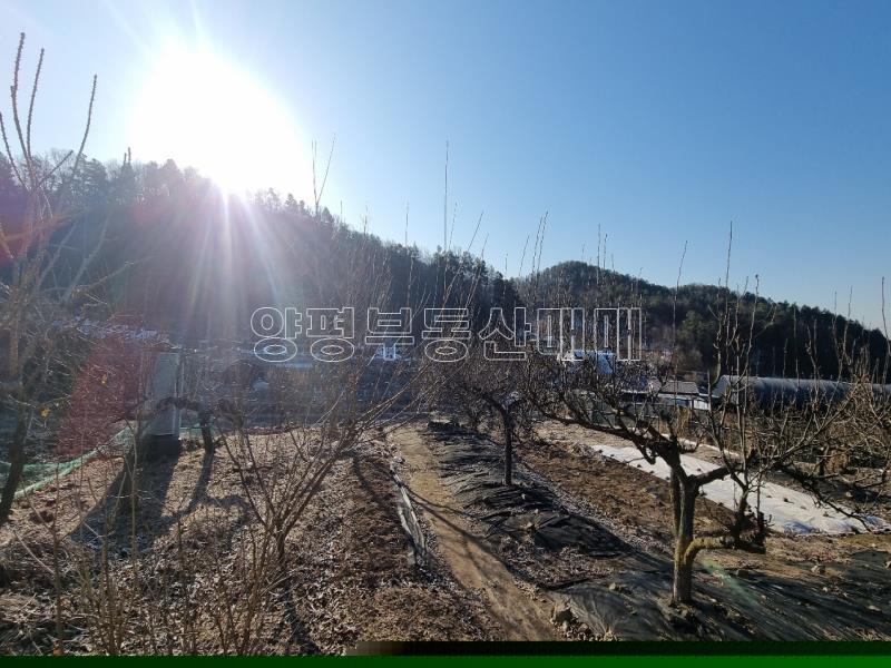 경기도 광주시 퇴촌면 도수리 도시지역 녹지지역_2