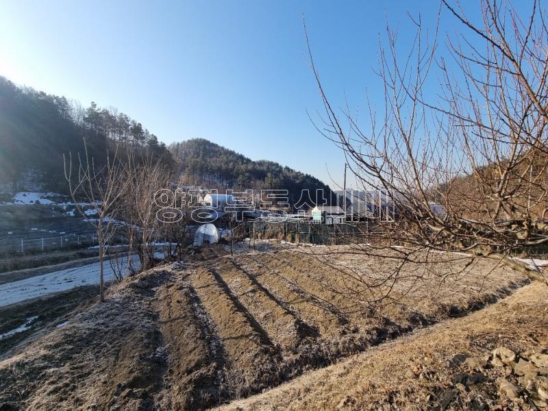 경기도 광주시 퇴촌면 도수리 도시지역 녹지지역_4