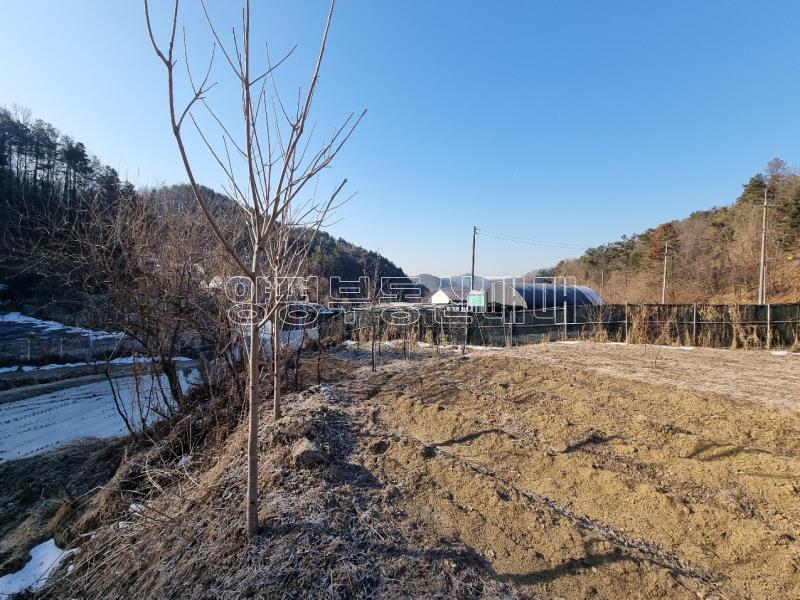 경기도 광주시 퇴촌면 도수리 도시지역 녹지지역_6