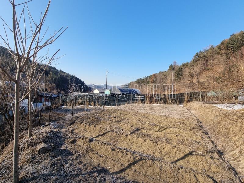 경기도 광주시 퇴촌면 도수리 도시지역 녹지지역_7