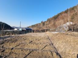경기도 광주시 퇴촌면 도수리 도시지역 녹지지역_썸네일_8