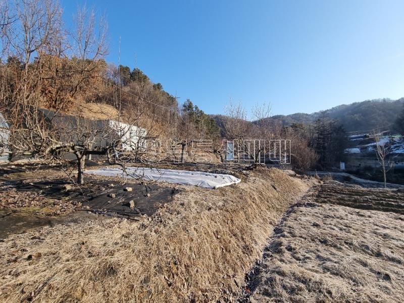 경기도 광주시 퇴촌면 도수리 도시지역 녹지지역_12