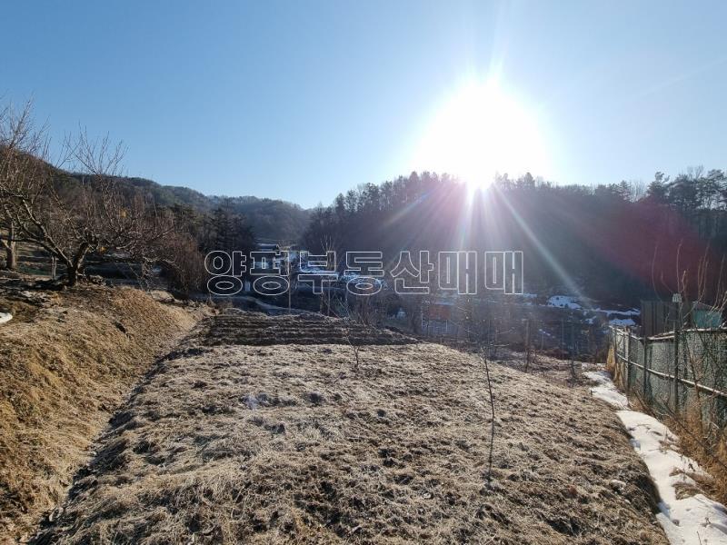 경기도 광주시 퇴촌면 도수리 도시지역 녹지지역_13