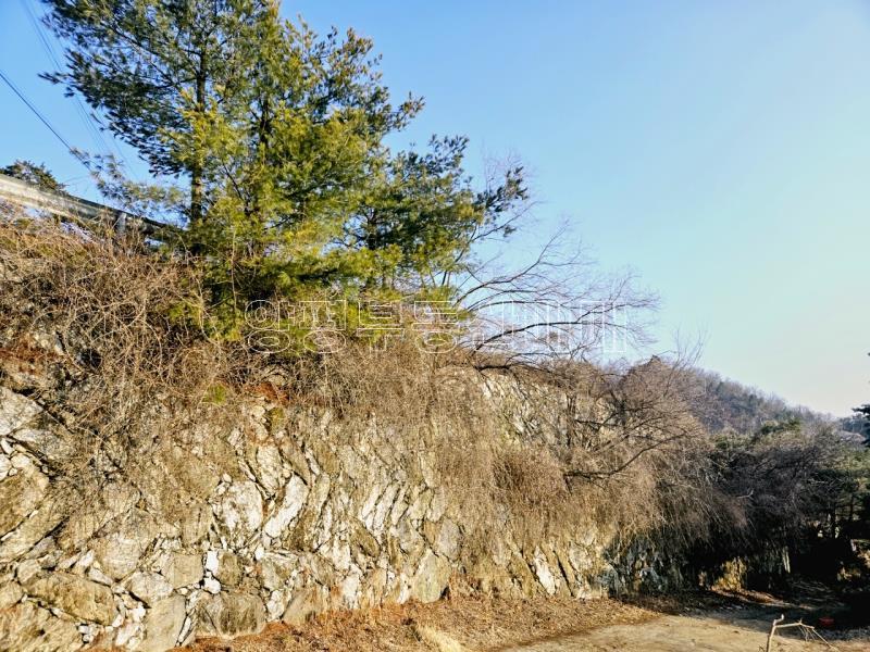 양평군 양서면 대심리 강조망과 접근성이 뛰어난 토지_5