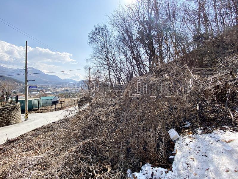 경기도 옥천면 용천리 완경사토지_5