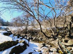 경기도 광주시 수청리 구거(개울)접한토지_썸네일_13