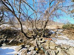 경기도 광주시 수청리 구거(개울)접한토지_썸네일_14