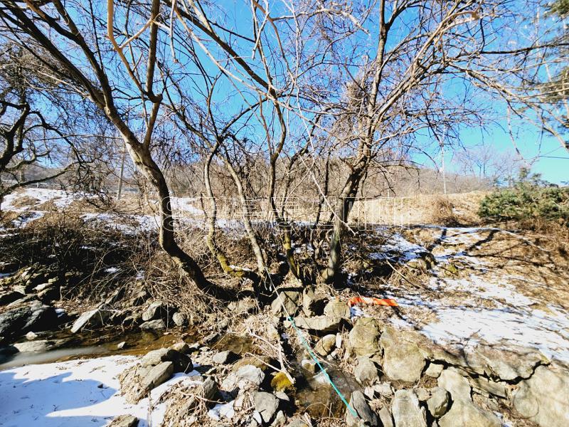 경기도 광주시 수청리 구거(개울)접한토지_14