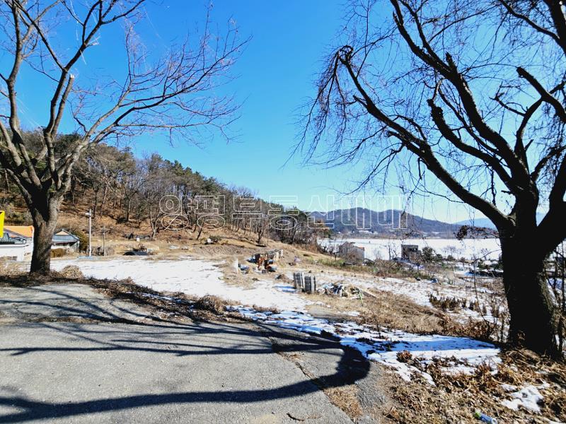 경기도 광주시 남종면 수청리 강조망토지_15