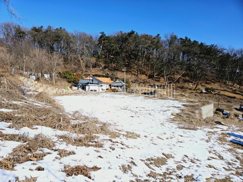 경기도 광주시 남종면 수청리 강조망토지_19
