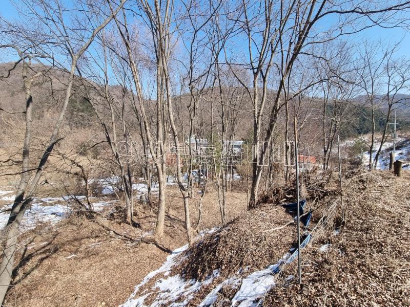 경기도 광주시 퇴촌면 우산리 계획관리토지_6