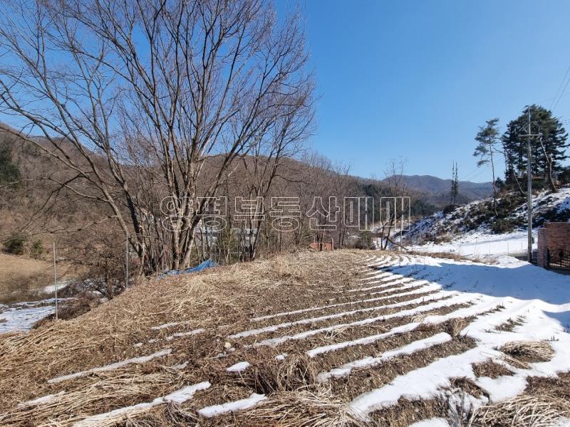 경기도 광주시 퇴촌면 우산리 계획관리토지_12