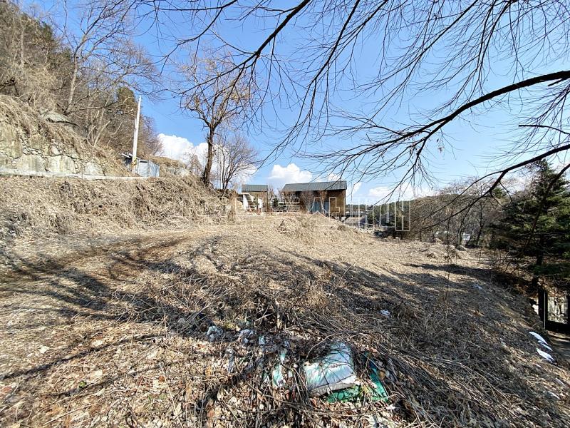 양평군 양서면 복포리 강조망토지_17