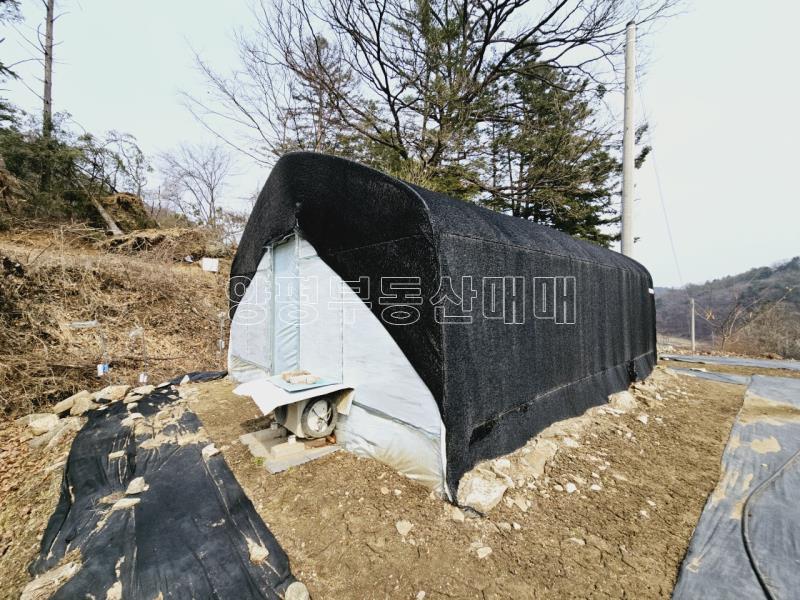 광주시 남종면 수청리 국유지 접한토지_5