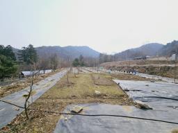 광주시 남종면 수청리 국유지 접한토지_썸네일_6