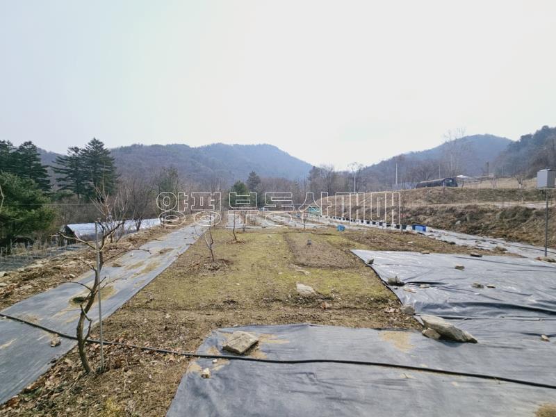광주시 남종면 수청리 국유지 접한토지_6