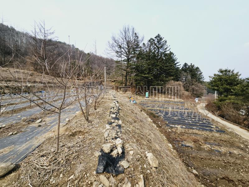 광주시 남종면 수청리 국유지 접한토지_12