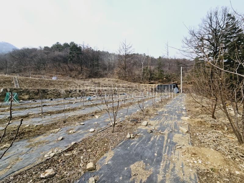 광주시 남종면 수청리 국유지 접한토지_13