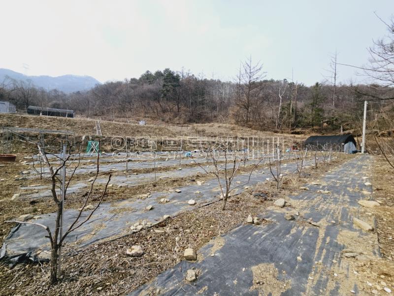 광주시 남종면 수청리 국유지 접한토지_14