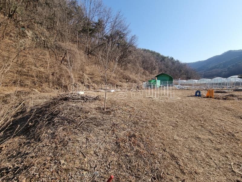 경기도 광주시 남종면 귀여리 전,도시지역 ,개발제한지역, 녹지지역_1
