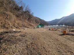 경기도 광주시 남종면 귀여리 전,도시지역 ,개발제한지역, 녹지지역_썸네일_2