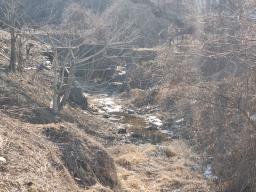 경기도 광주시 남종면 귀여리 전,도시지역 ,개발제한지역, 녹지지역_썸네일_7