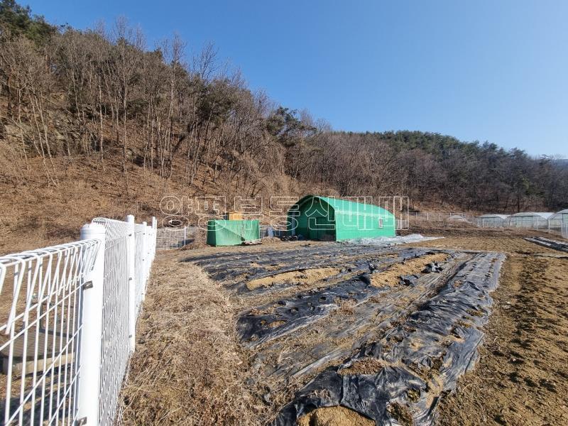 경기도 광주시 남종면 귀여리 전,도시지역 ,개발제한지역, 녹지지역_9