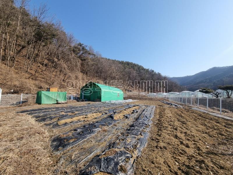 경기도 광주시 남종면 귀여리 전,도시지역 ,개발제한지역, 녹지지역_10