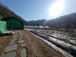 경기도 광주시 남종면 귀여리 전,도시지역 ,개발제한지역, 녹지지역_썸네일_12
